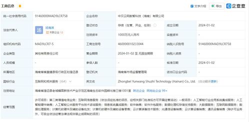 中贝通信在海南成立数智科技公司，拓展AI业务与信息系统集成服务