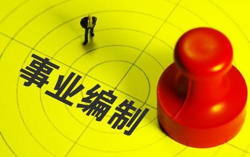 信息系统集成服务领域的事业编制工作概览